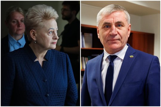 Seimo koridoriuje – privatus D. Grybauskaitės ir K. Vilkausko pokalbis: ką išgirdo iš prezidentės?