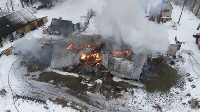 Siaubo persmelktas antradienis Kupiškio r.: sudegė gyvūnų prieglauda – žuvo per 20 globotinių