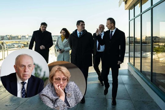 „Plaukai šiaušiasi“: Seime – socialdemokratų nerimas dėl R. Žemaitaičio ir Vengrijos ministro susitikimų