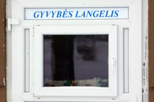 Gyvybės langelyje Šiauliuose rasta naujagimė