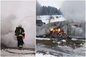 Gaisras gyvūnų prieglaudoje Kupiškio r.: aiškėja naujos detalės ir siaubingos pasekmės