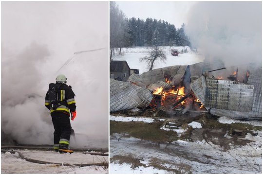 Gaisras gyvūnų prieglaudoje Kupiškio r.: aiškėja naujos detalės ir siaubingos pasekmės