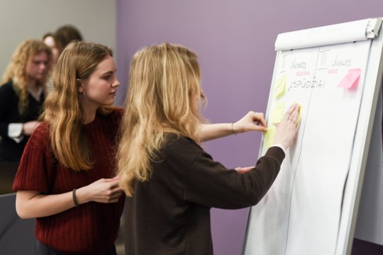 Menų studentams skirtos M. K. Čiurliono stipendijos