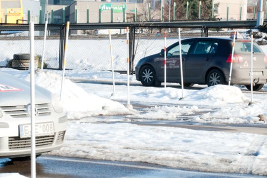 Išaiškino, kokių metų sulaukus geriausia mokytis vairuoti – tada techniniai įgūdžiai formuojasi itin greitai