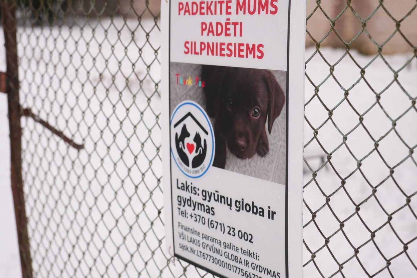 Antradienį Kupiškio rajone gyvūnų prieglaudą ištiko siaubinga nelaimė – gaisro metu ugnis iki pamatų sunaikino ne tik pastatą, bet ir jame buvusius globotinius. Ugnis pasiglemžė ir apie 20 viduje buvusių keturkojų.<br>Rimvydo Ančerevičiaus, Vilmanto Bieliūno (JP.lt) nuotr.