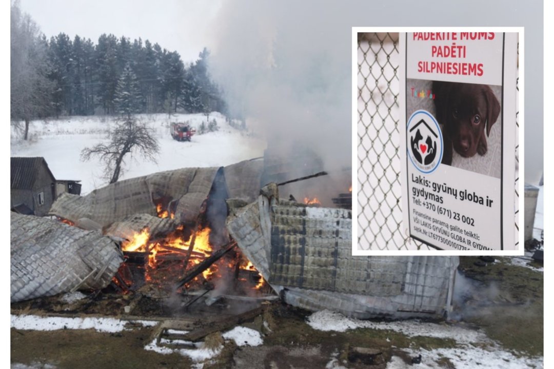 Po skaudžios tragedijos – Kupiškio gyvūnų prieglaudos atstovų žinia: prašo vienintelio dalyko