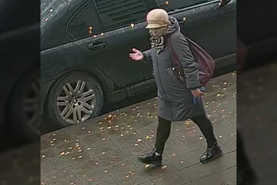 Kauno policija ieško 1 000 eurų apgaule išviliojusios aferistės 