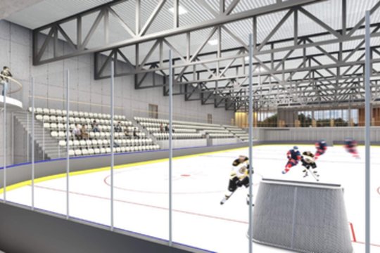 Vilniuje iškils ledo arena: ko laukti lankytojams
