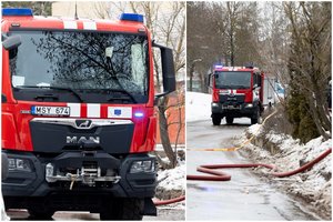 Per gaisrą greta Marijampolės nukentėjo keturkojai augintiniai: vienas katinas apdegė, kitas – žuvo