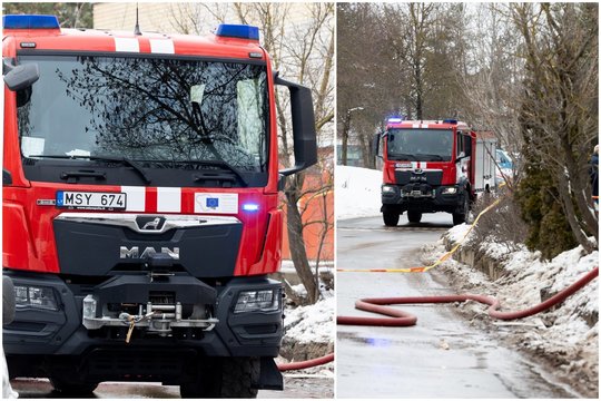 Per gaisrą greta Marijampolės nukentėjo keturkojai augintiniai: vienas katinas apdegė, kitas – žuvo