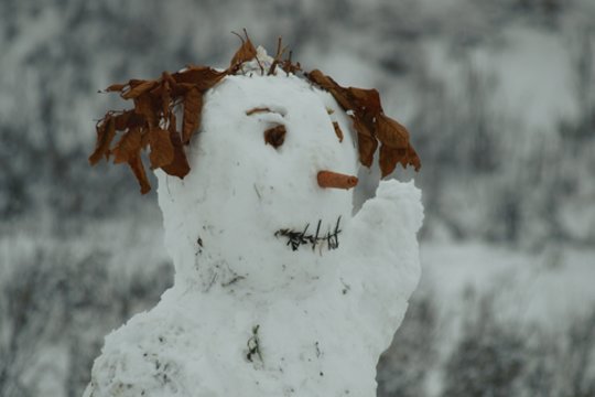 Gavę pranešimą apie autostradoje paliktą sniego senį, pareigūnai rado tik šiukšlių pilną maišą