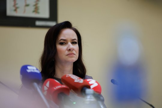 I. Ruginienė apie Klaipėdos pietinio aplinkkelio projektą: gali trukti dešimtmetį