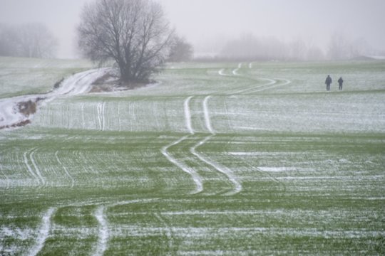 „Mercosur“ susitarimas: geopolitinė galimybė ar iššūkis Europos ūkiui?