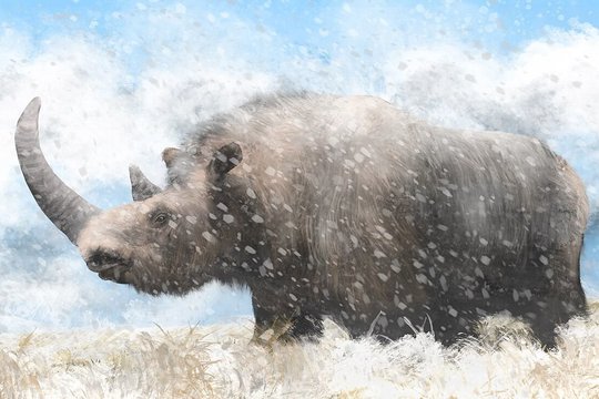 Rado užuominų apie senovinių gigantų išmirimo priežastis – iš mėginio, gauto labai neįprastu būdu