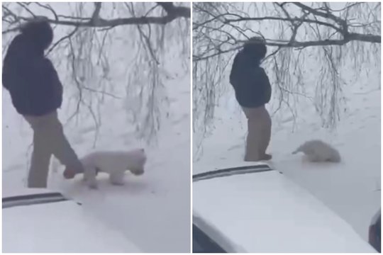 Po pykčio bangą sukėlusio spardomo šuniuko įrašo – žinia iš GGI