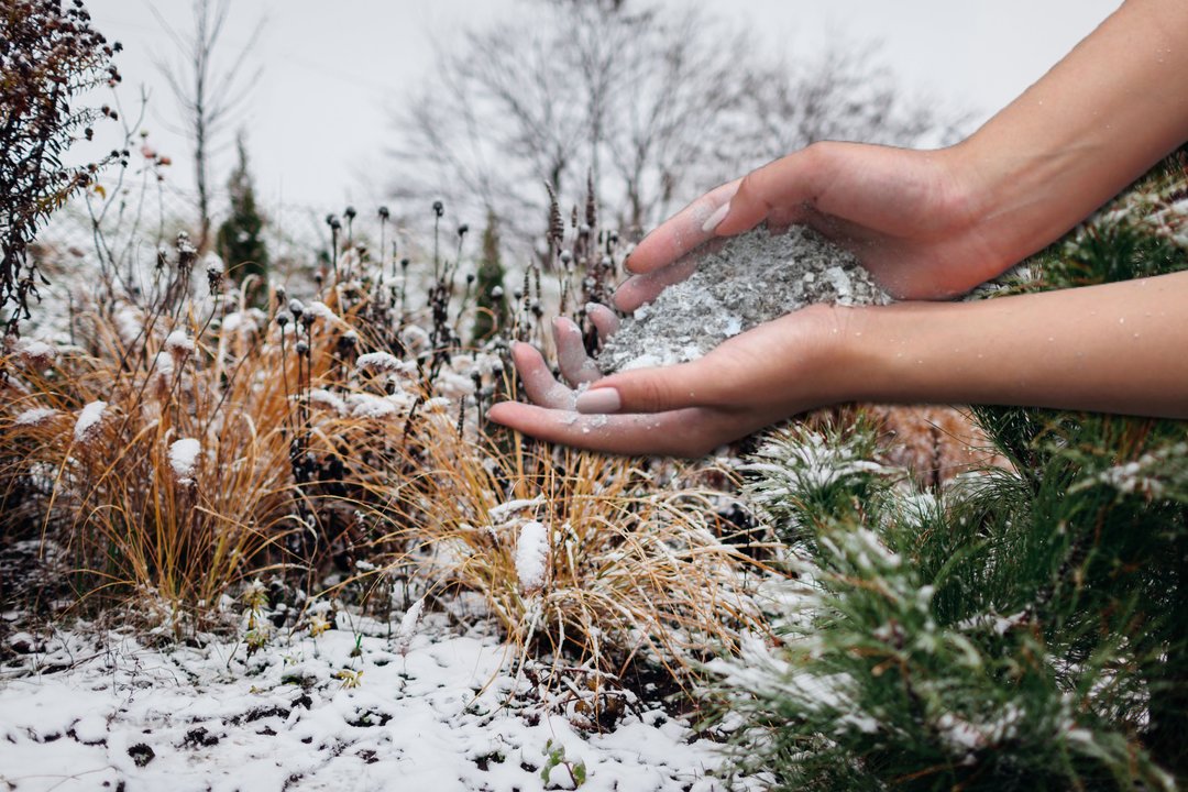Sniegas kaip trąša? Žiemos metodas, kuris veikia geriau nei pavasarinis tręšimas