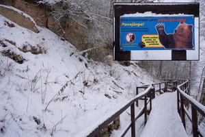 Vienintelį tokį Lietuvos kampelį niokoja patys tautiečiai: tą darydami net nesusimąsto