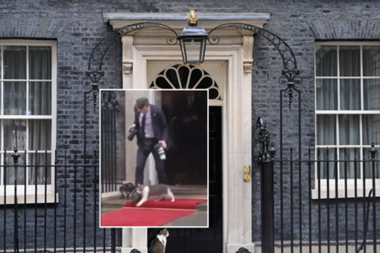 Garsusis katinas Laris Lenkijos delegacijos atstovą pastatė į nepatogią situaciją 