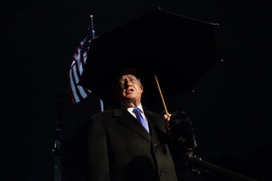 Po D. Trumpo grasinimų Europai – analitikės žinia dėl JAV prezidento siekio