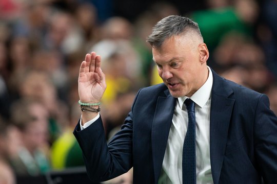 M. Blaževičius neturėjo aštrių spyglių įdurti Šaro „Fenerbahce“