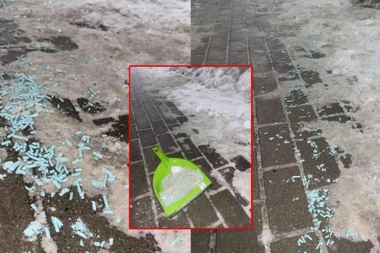 Po moters įspėjimo apie galimą pavojų augintiniams – patyčių banga