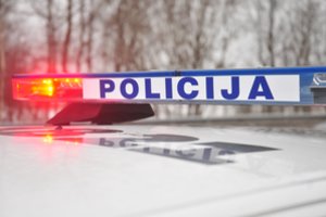 Ant važiuojančio automobilio Vilniaus pakraštyje nuvirto medis