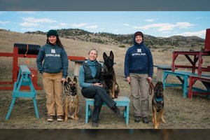 Moteris rengia ir parduoda šunis-sargybinius: vieno kaina – daugiau kaip 150 tūkst. eurų