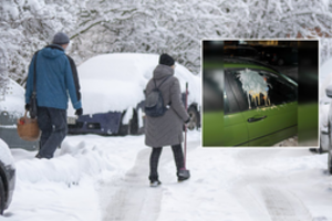 Klaipėdiečiui stovėjimas kieme apkarto – kaimynai surengė linčo teismą