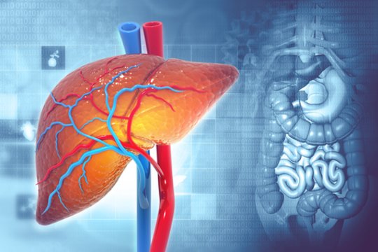 5 požymiai, kad kažkas blogai su jūsų kepenimis