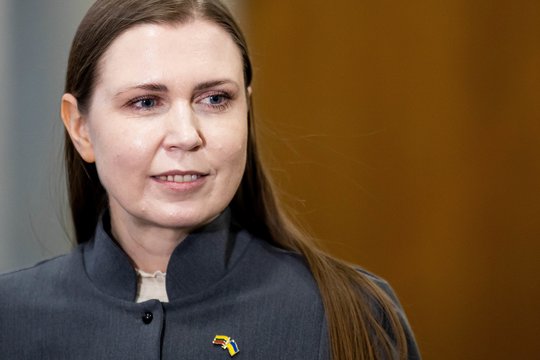 Po kalbų apie galimą „socdemų“ bruzdėjimą po ilgos tylos prabilo D. Šakalienė