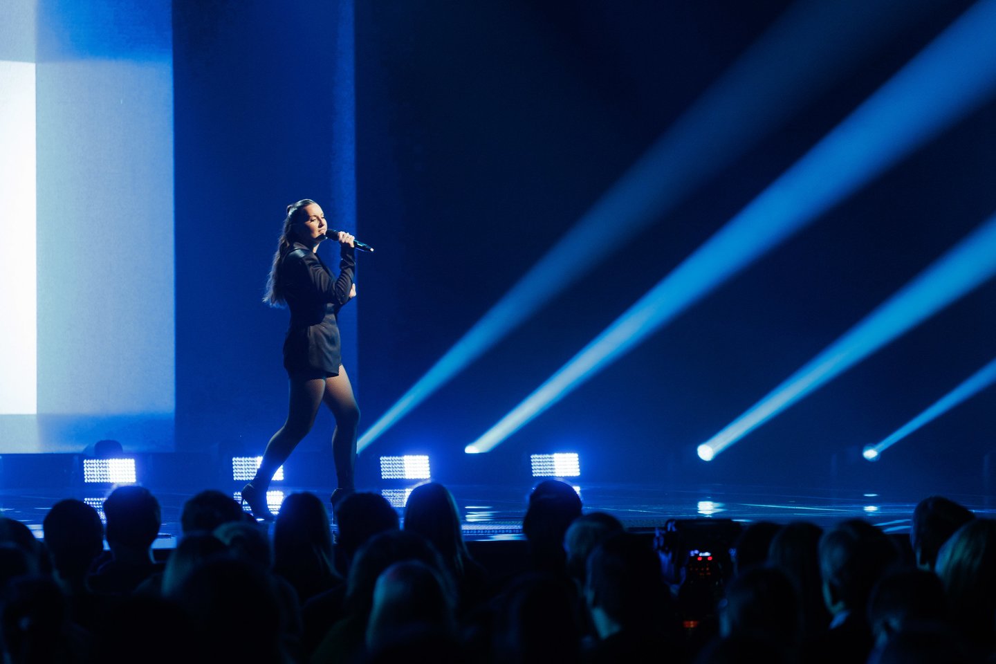 Dagna „Sau meluojam“.<br> V. Skaraičio nuotr.