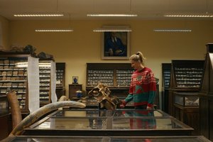 Paleontologė: ryškiausia mūsų palikta žymė bus išnaikintos rūšys