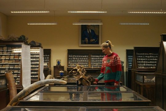 Paleontologė: ryškiausia mūsų palikta žymė bus išnaikintos rūšys