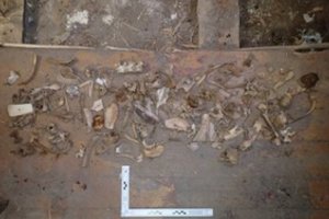 Baigtas ikiteisminis tyrimas dėl kraupaus radinio Kauno bute