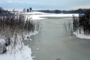 Ministerija ruošia dar nematytą draudimą: „Žingsnis atgal į akmens amžių“