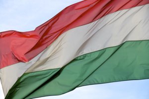 Vengrijoje kilo pasipiktinimas dėl ministro pareiškimo, kad romai turėtų valyti tualetus