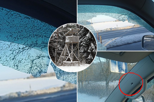 Tokio įvykio Lietuvoje dar nebuvo – draudikai dėsto, kas turės padengti žalą