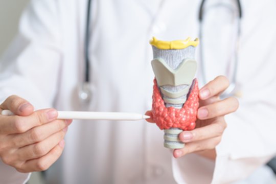 Kaip pasiruošti skydliaukės operacijai? Štai ką turite žinoti