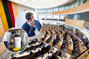 Kiek parlamentinių lėšų per metus išnaudojo Seimo nariai: didžiausias išlaidūnas – R. Žemaitaitis 