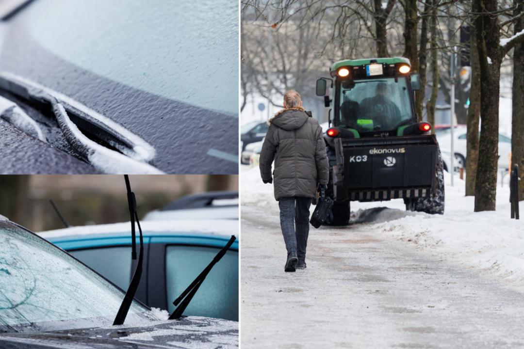 Plikledis Vilniuje.<br>Lrytas fotomontažas.