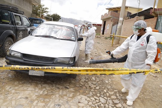 Įspėja paukščių augintojus: Europoje siautėja pavojinga liga