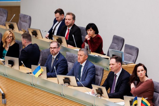 I. Ruginienė ragina ministeriją stiprinti viešųjų pirkimų sistemą krašto apsaugos srityje