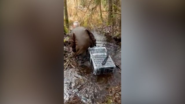 Nematyta medžiaga pasidaliję VSAT pareigūnai praneša apie naujausią kontrabandą: perimti 6 oro balionai