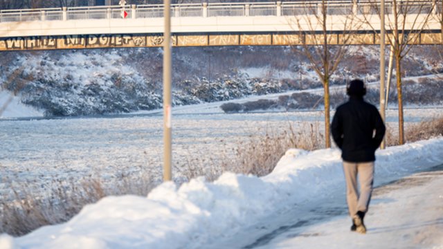 Baiminasi, kad 2027-aisiais Lietuvos laukia stagnacija: tikėtina, kad atsitrenksime į lubas