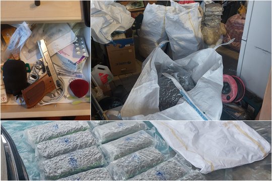 Jonavos rajone kriminalistai rado 71 kg kanapių