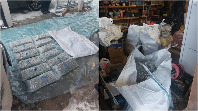 Jonavos r. vyro garaže pareigūnai aptiko įspūdingą kiekį kanapių: gresia ilgi metai kalėjime