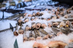 To žuvyje rasti nesitikėjo: patikrinus įmonę – skubus draudimas prekę tiekti į rinką  