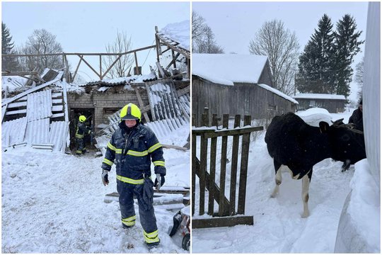 Dėl sniego Šilalės rajono griuvo pastato stogas: iškviesti gelbėtojai