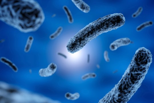 Netikėtas atradimas: kosmose mutavę virusai gali padėti kovoti su sunkiomis žmonių infekcijomis