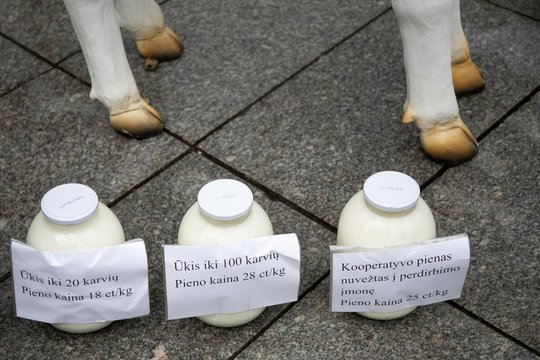 Krentant pieno supirkimo kainoms – siūlo išeitį: neliktų pertekliaus, išloštų visi